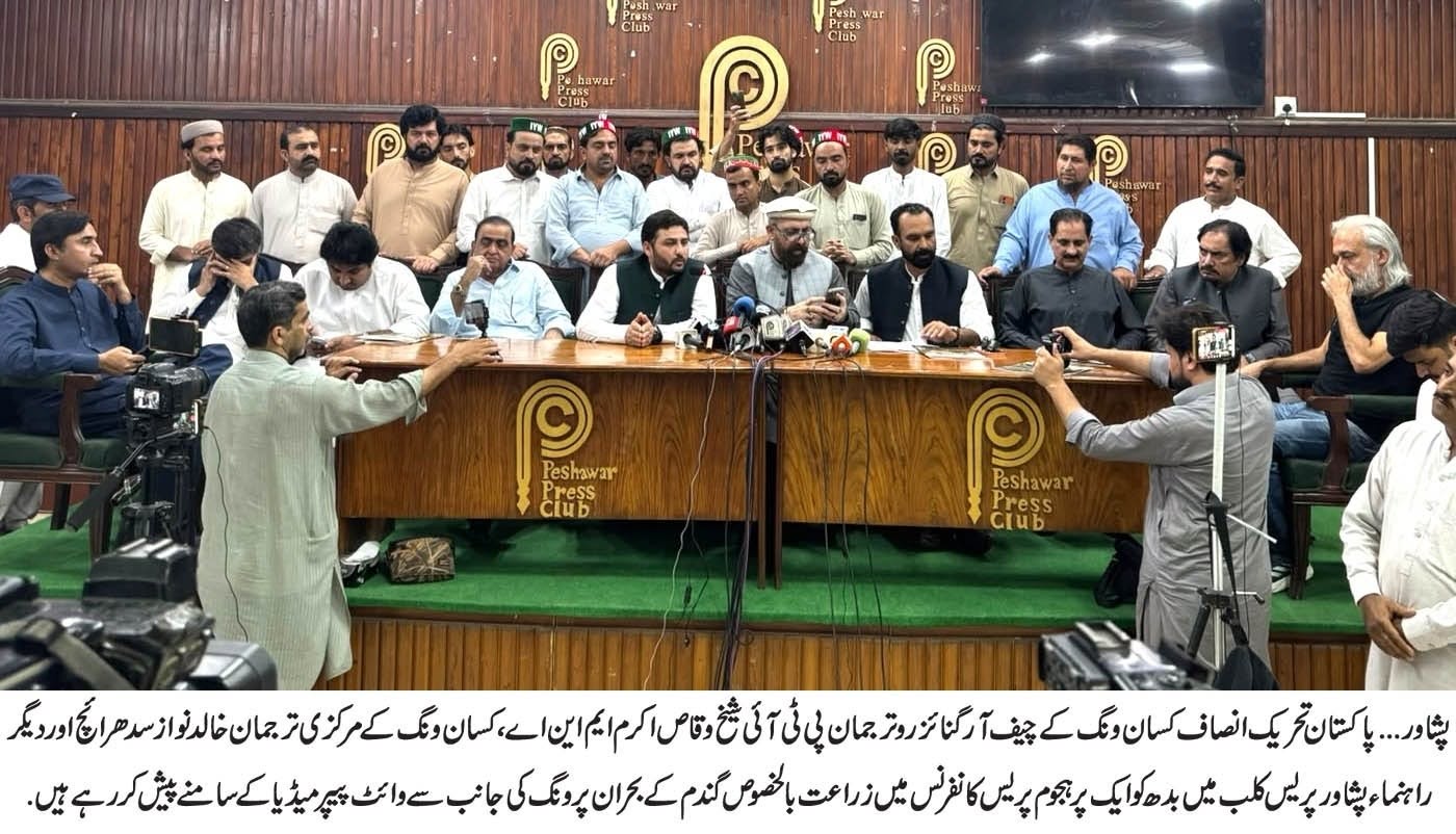 پیشاور 12 اگست: پاکستان تحریک انصاف (پی ٹی آئی) کے کسان ونگ نے ایک جامع وائٹ پیپر جاری کیا ہے جس میں حکومت کی مسلسل اور ناکام پالیسیوں کو بے نقاب کیا گیا ہے۔ ان پالیسیوں نے پاکستان کے گندم کے شعبے کو تاریخ کے شدید ترین بحران میں دھکیل دیا ہے، جس سے قومی فوڈ سیکیورٹی کو خطرات لاحق ہو چکے ہیں، لاکھوں کسان خاندان تباہ حالی کا شکار ہیں اور ملک کلو دارآمدی گندم پر انحصار بڑھانے پر مجبور ہو رہا ہے۔

یہ وائٹ پیپر بدھ کے روز پشاور پریس کلب میں پی ٹی آئی کے مرکزی ترجمان اور کسان ونگ کے آرگنائزر شیخ وقاص اکرم (ایم این اے) اور پی ٹی آئی کسان ونگ کے مرکزی سیکرٹری اطلاعات خالد نواز سدھرائچ نے پیش کیا۔ اس موقع پر نائب صدر پی ٹی آئی کسان ونگ پنجاب ایم این اے میاں غوث محمد، جنرل سیکرٹری پی ٹی آئی کسان ونگ پنجاب اعجاز شفیع، ایم این اے فیصل امین گنڈاپور، ایم این اے مبین عارف جٹ، ڈاکٹر فیصل جمیل ایم پی اے، جام امان اللہ اور دیگر پی ٹی آئی رہنما بھی موجود تھے۔

شیخ وقاص اکرم اور خالد نواز سدھرائچ نے بتایا کہ یہ وائٹ پیپر قیامِ پاکستان سے لے کر 2026 تک کی گندم کی معیشت کا احاطہ کرنے والی وسیع تحقیق کا نتیجہ ہے۔ اس میں تاریخی اعداد و شمار، پالیسی کا تجزیہ، پیداواری رجحانات، خریداری کے ریکارڈ، امدادی قیمت کا طریقہ کار، درآمدی فیصلے، زرعی تحقیق کی کارکردگی، پیداواری لاگت اور ادارہ جاتی ناکامیوں کا تفصیلی جائزہ شامل ہے جو ملک کی اس سب سے اہم فصل کی مسلسل تنزلی کی وجوہات بیان کرتے ہیں۔

وائٹ پیپر کے مطابق زرخیز زمین، وسیع نظامِ آبپاشی اور تجربہ کار کسانوں کی موجودگی کے باوجود پاکستان پالیسیوں میں عدم تسلسل، ناقص گورننس، تاخیر سے کیے جانے والے فیصلوں اور شعبہ زراعت کی مسلسل نظر اندازی کی وجہ سے گندم میں پائیدار خودکفالت حاصل کرنے میں ناکام رہا ہے۔

رپورٹ میں کہا گیا ہے کہ 2023-24 کے دوران اگرچہ گندم کی پیداوار تقریباً 31.43 ملین ٹن تک پہنچ گئی تھی، لیکن بعد میں آنے والی غلط پالیسیوں، گندم کی خریداری میں غیر یقینی صورتحال، فارم گیٹ کی کم قیمتوں اور مارکیٹ میں مؤثر مداخلت نہ ہونے کے باعث کسان گندم کی کاشت سے بددل ہوئے اور پیداوار میں نمایاں کمی آئی۔ رپورٹ میں خبردار کیا گیا ہے کہ کئی کسان گندم کی کاشت مکمل طور پر چھوڑ رہے ہیں جبکہ دیگر مالی نقصانات کے باعث اپنی زرخیز زمینیں بیچ کر زراعت سے کنارہ کشی اختیار کر رہے ہیں۔

وائٹ پیپر میں مزید نشاندہی کی گئی ہے کہ کھاد، ڈیزل، بجلی کے نرخوں، آبپاشی کے اخراجات، بیج، کیڑے مار ادویات اور مزدوری کی قیمتوں میں غیر معمولی اضافے سے کاشتکاری کی لاگت میں بے پناہ اضافہ ہوا ہے، جبکہ کسانوں کو فصل کی قیمت اصل لاگت سے بھی بہت کم مل رہی ہے۔ اس بڑھتے ہوئے فرق نے زرعی منافع بخش طبقے کو شدید نقصان پہنچایا ہے اور لاکھوں دیہی خاندانوں کے روزگار کو خطرے میں ڈال دیا ہے۔

رپورٹ کے مطابق گندم کی درآمد اور برآمد سے متعلق بار بار پالیسیاں بدلنے سے مقامی منڈیوں کو نقصان پہنچا، بااثر مڈل مین اور منافع خور تاجروں کو فائدہ ہوا اور قومی فوڈ سیکیورٹی کمزور ہوئی۔ طویل مدتی منصوبے کے نہ ہونے کی وجہ سے پاکستان گندم برآمد کرنے والے ملک کے بجائے مہنگی گندم درآمد کرنے پر مجبور ہو گیا ہے۔

وائٹ پیپر میں زرعی تحقیق اور ٹیکنالوجی کی کسانوں تک عدم منتقلی پر بھی تشوییش کا اظہار کیا گیا ہے۔ ناقص فنڈنگ، توسیع کی کمزور خدمات اور ادارہ جاتی نااہلی کی وجہ سے پاکستان کے تحقیقی اداروں کی سائنسی ایجادات کسانوں تک نہیں پہنچ پا رہی ہیں۔ رپورٹ میں زرعی تحقیقی اداروں میں جامع اصلاحات، صوبائی محکموں کے ساتھ بہتر تعاون، اور جدید بیج و موسم کے اثرات سے محفوظ ٹیکنالوجیز میں سرمایہ کاری کا مطالبہ کیا گیا ہے۔

پی ٹی آئی کسان ونگ نے زور دیا کہ موجودہ بحران صرف زراعت کا مسئلہ نہیں بلکہ یہ قومی معیشت اور سلامتی کا چیلنج ہے۔ گندم کی قیمتیں براہ راست غذائی اجناس، افراطِ زر، دیہی روزگار، غربت اور سیاسی استحکام پر اثر انداز ہوتی ہیں۔ اگر فوری اصلاحی اقدامات نہ کیے گئے تو پاکستان کو بار بار خوراک کی قلت، آٹے کی بڑھتی قیمتوں اور غیر ملکی منڈیوں پر انحصار کا سامنا کرنا پڑ سکتا ہے۔

وائٹ پیپر میں ایک جامع قومی اصلاحاتی ایجنڈا پیش کیا گیا ہے جس میں گندم کی بروقت اور تضمین شدہ خریداری، لاگت کے مطابق شفاف امدادی قیمت کا تعین، مارکیٹ میں احتکار (ذخیرہ اندوزی)، کارٹلائزیشن اور سٹا بازی کا خاتمہ، سستے زرعی ان پٹس (کھاد، ڈیزل، بجلی اور بیج) کی فراہمی، تصدیق شدہ بیجوں کی پیداوار میں اضافہ اور آبپاشی کے نظام کو جدید بنانا، زرعی تحقیقی اداروں کی بحالی اور ٹیکنالوجی کی منتقلی، جدید موسمیاتی تکنیکوں کو اپنانا اور گندم کے حکمت عملی پر مبنی ذخائر قائم کرنا، اور سائنسی منصوبہ بندی پر مبنی طویل مدتی قومی غذائی تحفظ پالیسی کی تشکیل شامل ہیں۔

اس موقع پر گفتگو کرتے ہوئے پی ٹی آئی کسان ونگ کے آرگنائزر شیخ وقاص اکرم، مرکزی سیکرٹری اطلاعات خالد نواز سدھرائچ اور دیگر مقررین نے کہا کہ وائٹ پیپر کا مقصد صرف حکومت پر تنقید کرنا نہیں بلکہ پاکستان کی زراعت کو بچانے کے لیے عملی اور شواہد پر مبنی حل فراہم کرنا ہے۔

رہنماؤں نے کہا کہ سابق وزیراعظم عمران خان شاید پہلے اور واحد وزیراعظم تھے جنہوں نے خود کسانوں کے کھیتوں کا دورہ کیا، ان کے ساتھ بیٹھ کر مسائل سنے اور گندم کی پیداوار و زرعی پالیسی کے مسائل کا جائزہ لیا۔ انہوں نے ایک جامع قومی زرعی پالیسی پر کام شروع کیا تھا تاکہ بنیادی کمزوریوں کو دور کر کے زراعت کو جدید اور پائیدار بنیادوں پر استوار کیا جا سکے، تاہم ان کی حکومت کو اصلاحات مکمل ہونے سے پہلے ہی ختم کر دیا گیا۔

انہوں نے کہا: "یہ وائٹ پیپر پالیسی سازوں کے لیے ایک انتباہ ہے۔ جو قوم اپنے کسانوں کا تحفظ نہیں کر سکتی، وہ اپنی فوڈ سیکیورٹی کی ضمانت نہیں دے سکتی۔ پاکستان کے پاس گندم میں خودکفیل ہونے کے تمام قدرتی وسائل موجود ہیں، لیکن مسلسل ناکام پالیسیوں نے کسانوں اور صارفین دونوں کو نہج پر پہنچا دیا ہے۔" انہوں نے مزید کہا کہ اب وقت آ گیا ہے کہ سائنس، شفافیت، ادارہ جاتی اصلاحات اور کسان دوست پالیسیوں پر مبنی قومی زرعی بحالی کا آغاز کیا جائے۔

پی ٹی آئی کسان ونگ نے وفاقی و صوبائی حکومتوں، اراکینِ پارلیمنٹ، زرعی ماہرین، تحقیقی اداروں اور تمام سیاسی دھاروں سے اپیل کی ہے کہ وہ زراعت کو قومی ترجیح بنائیں اور کسانوں کا اعتماد بحال کرنے، غذائی تحفظ کو یقینی بنانے اور پاکستان کے معاشی مستقبل کو محفوظ بنانے کے لیے فوری طور پر وسیع پیمانے پر اصلاحات کا آغاز کریں۔